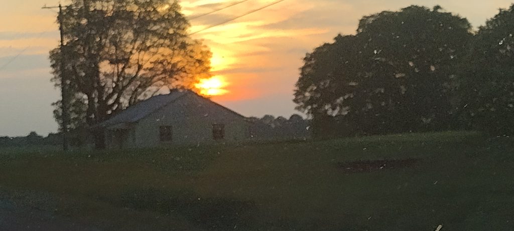 inbound5093291993786967335